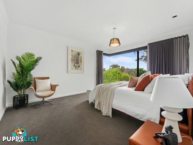 41 Morton Drive EASTWOOD VIC 3875