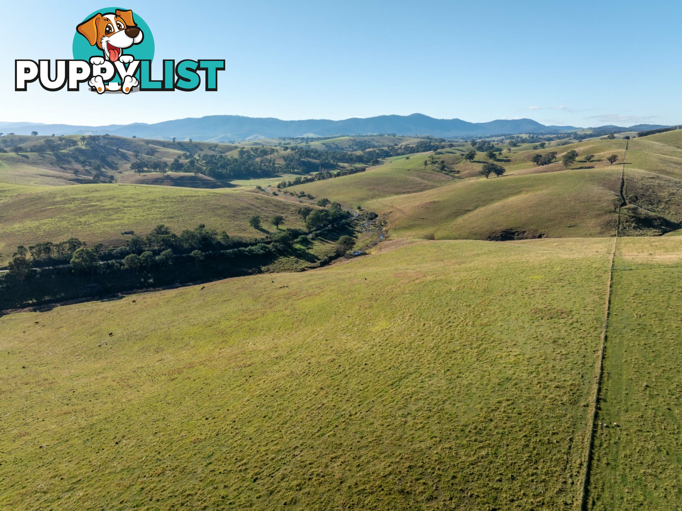 Lot 2 Sandy Creek Road REEDY FLAT VIC 3895