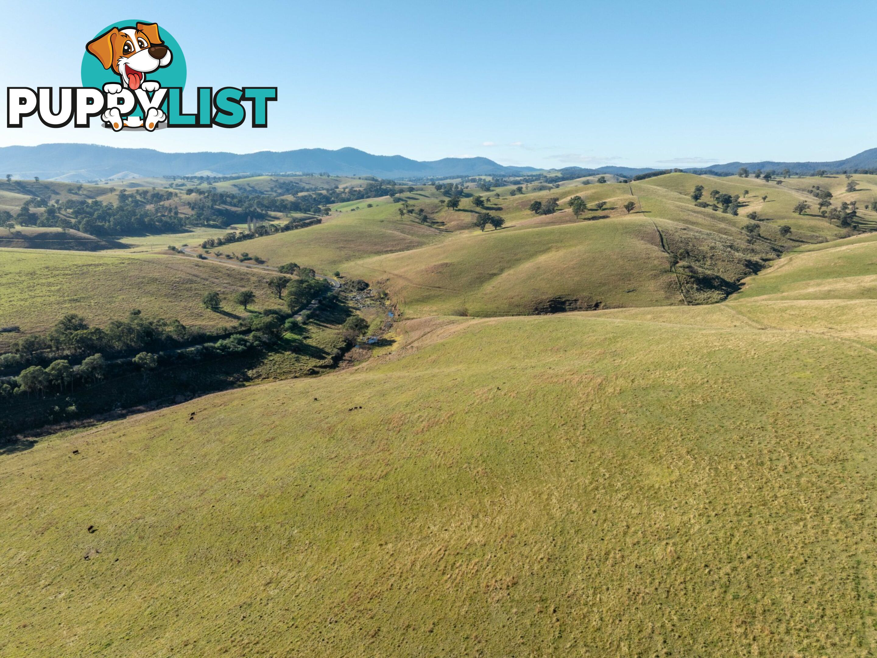Lot 2 Sandy Creek Road REEDY FLAT VIC 3895