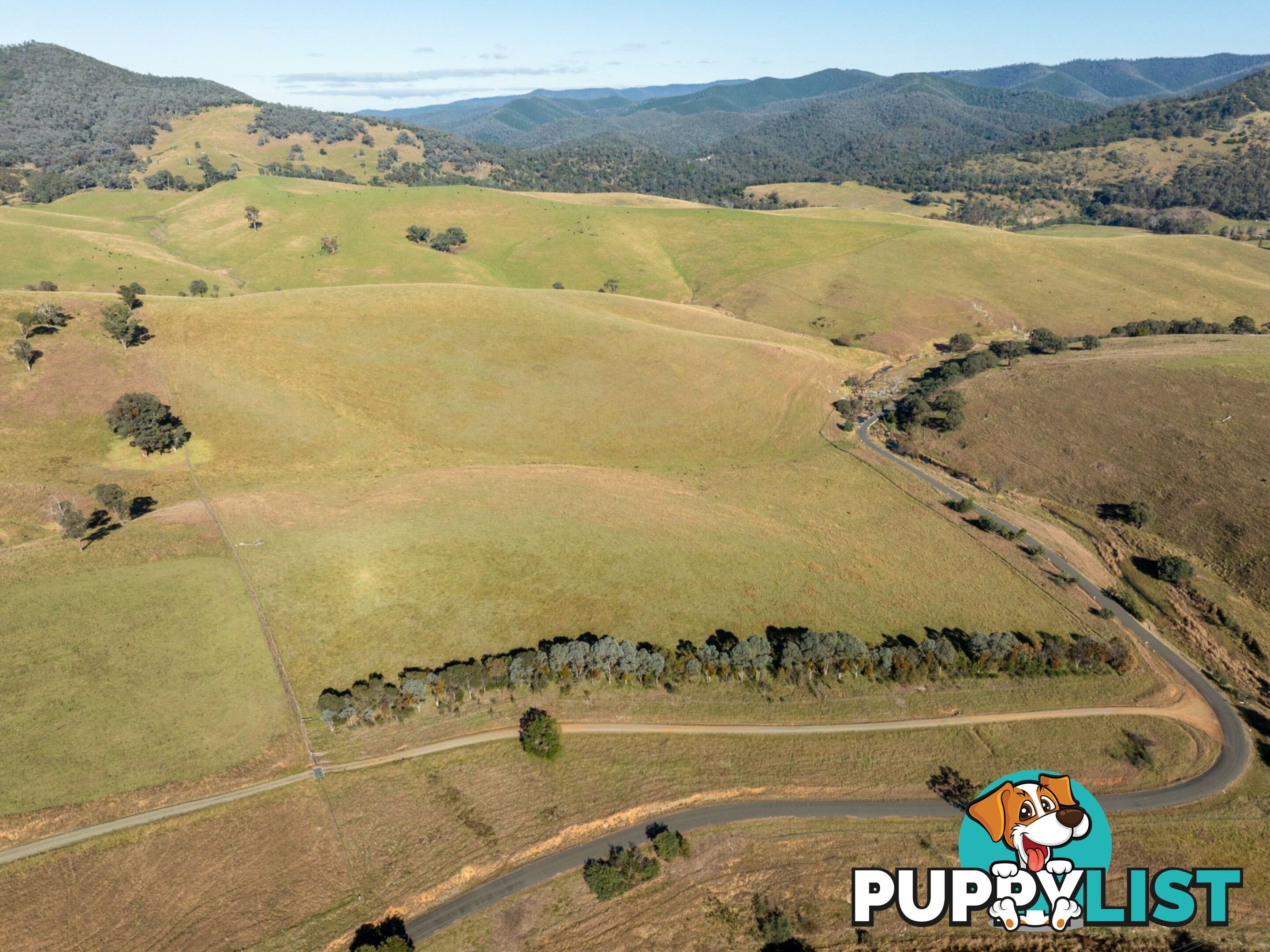 Lot 2 Sandy Creek Road REEDY FLAT VIC 3895
