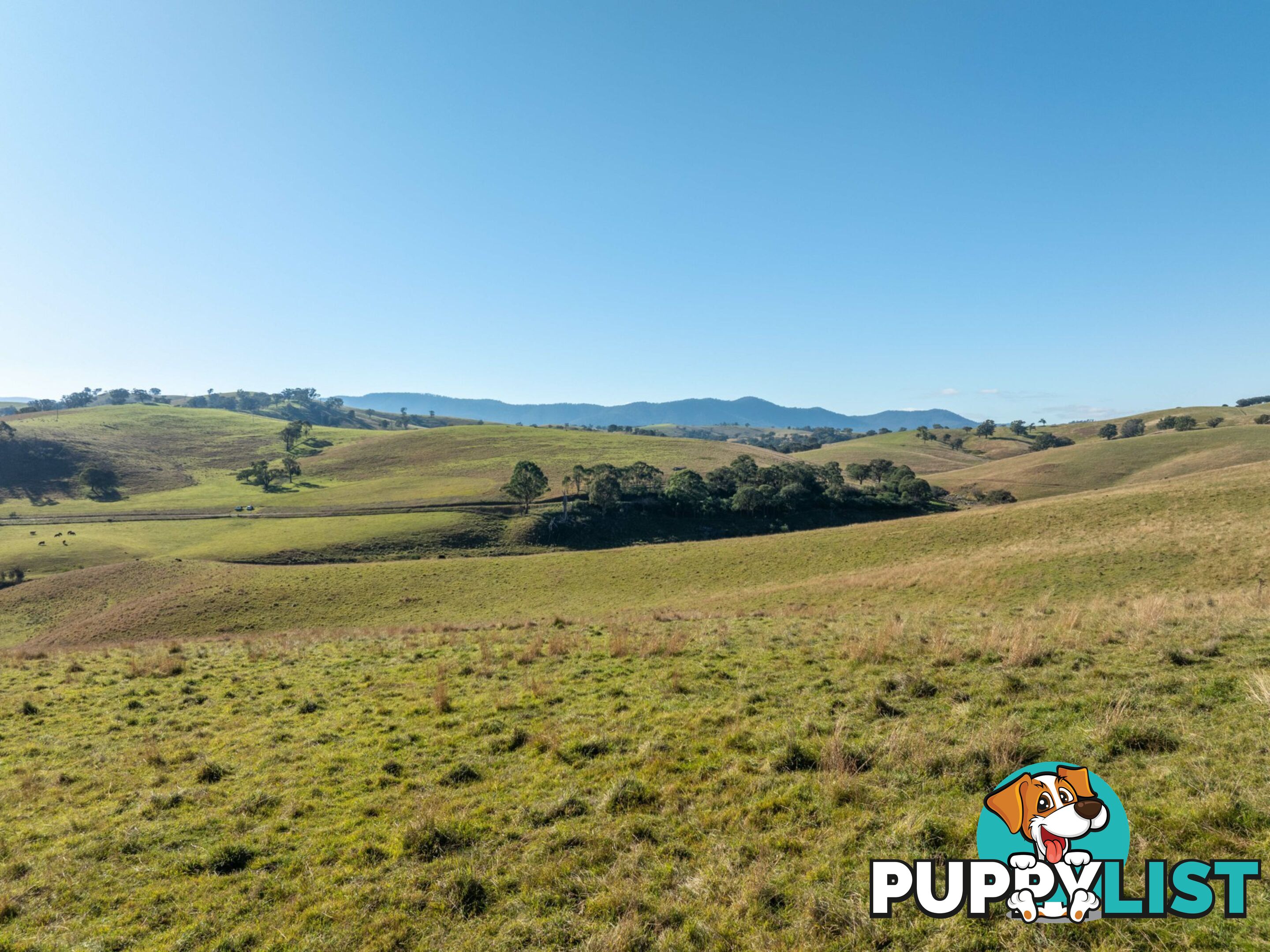 Lot 2 Sandy Creek Road REEDY FLAT VIC 3895