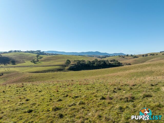 Lot 2 Sandy Creek Road REEDY FLAT VIC 3895