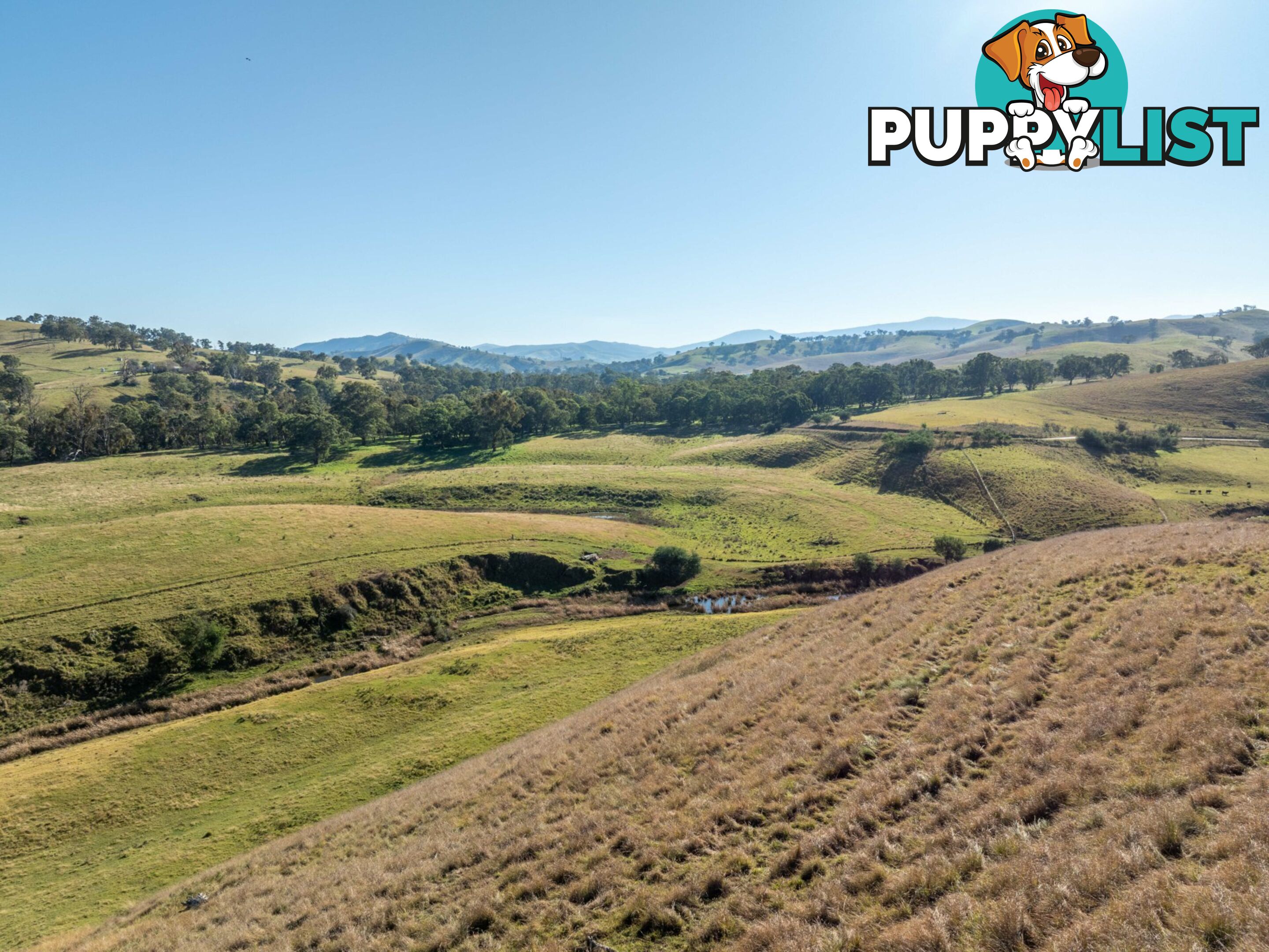 Lot 2 Sandy Creek Road REEDY FLAT VIC 3895