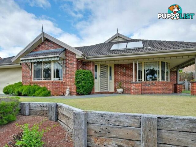 97 Howitt Avenue EASTWOOD VIC 3875