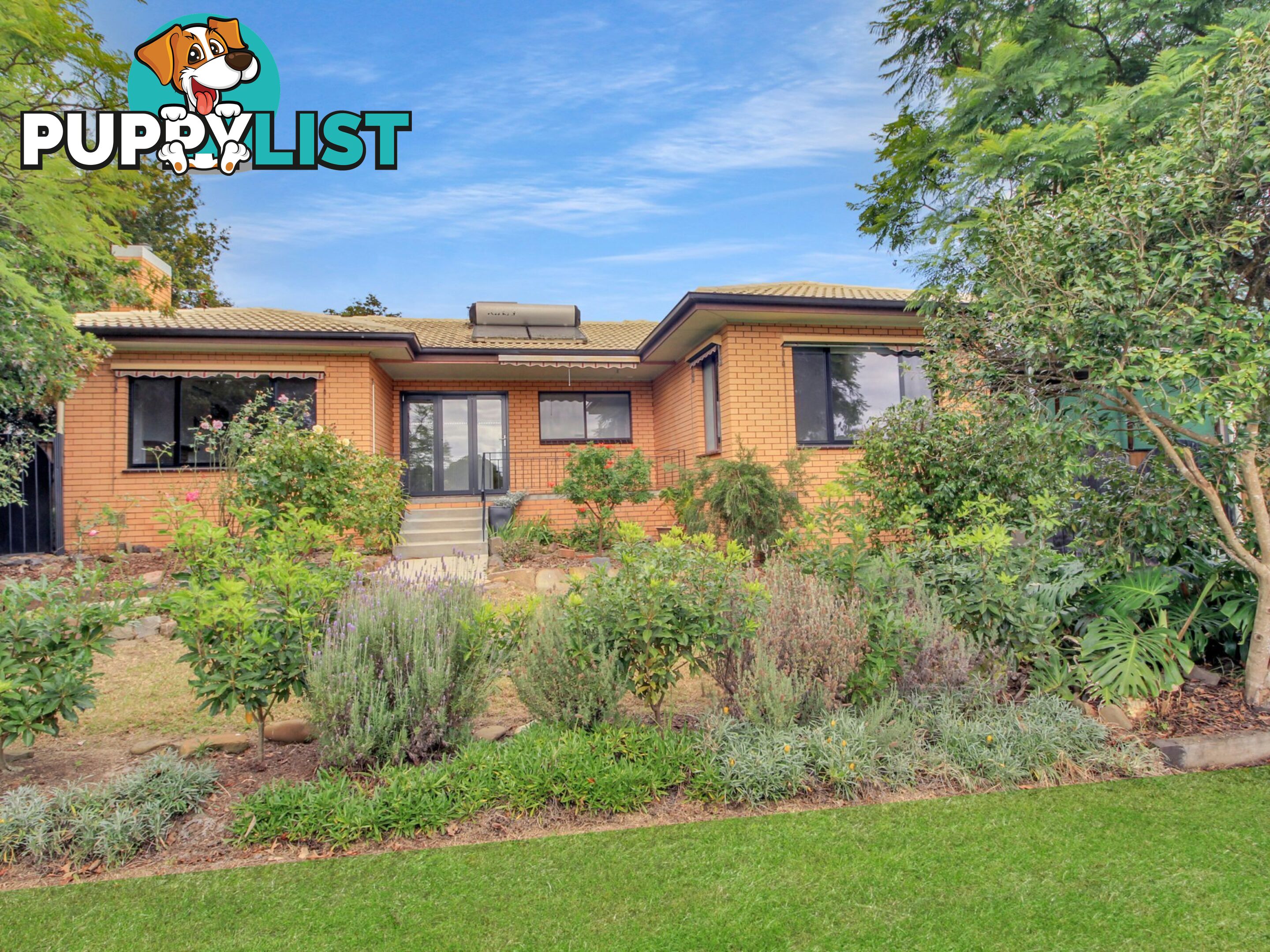 3 Scott Street BAIRNSDALE VIC 3875