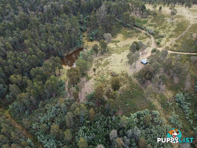 1495 Waterholes Road WATERHOLES VIC 3875