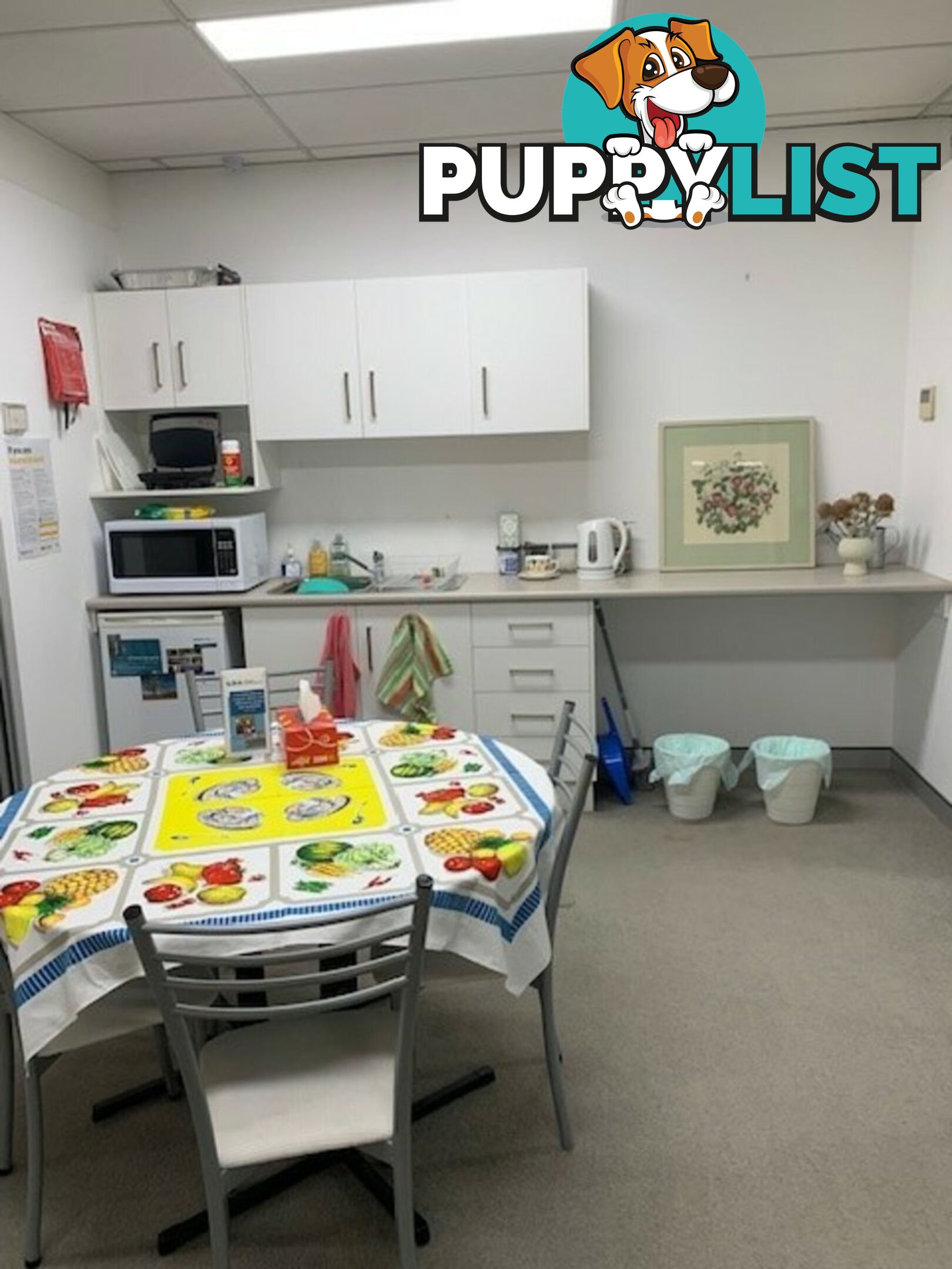 Shop 1/210-212 Main Street BAIRNSDALE VIC 3875