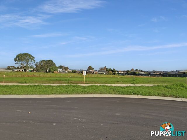 Lot 13/29 Clothier Crescent EAST BAIRNSDALE VIC 3875