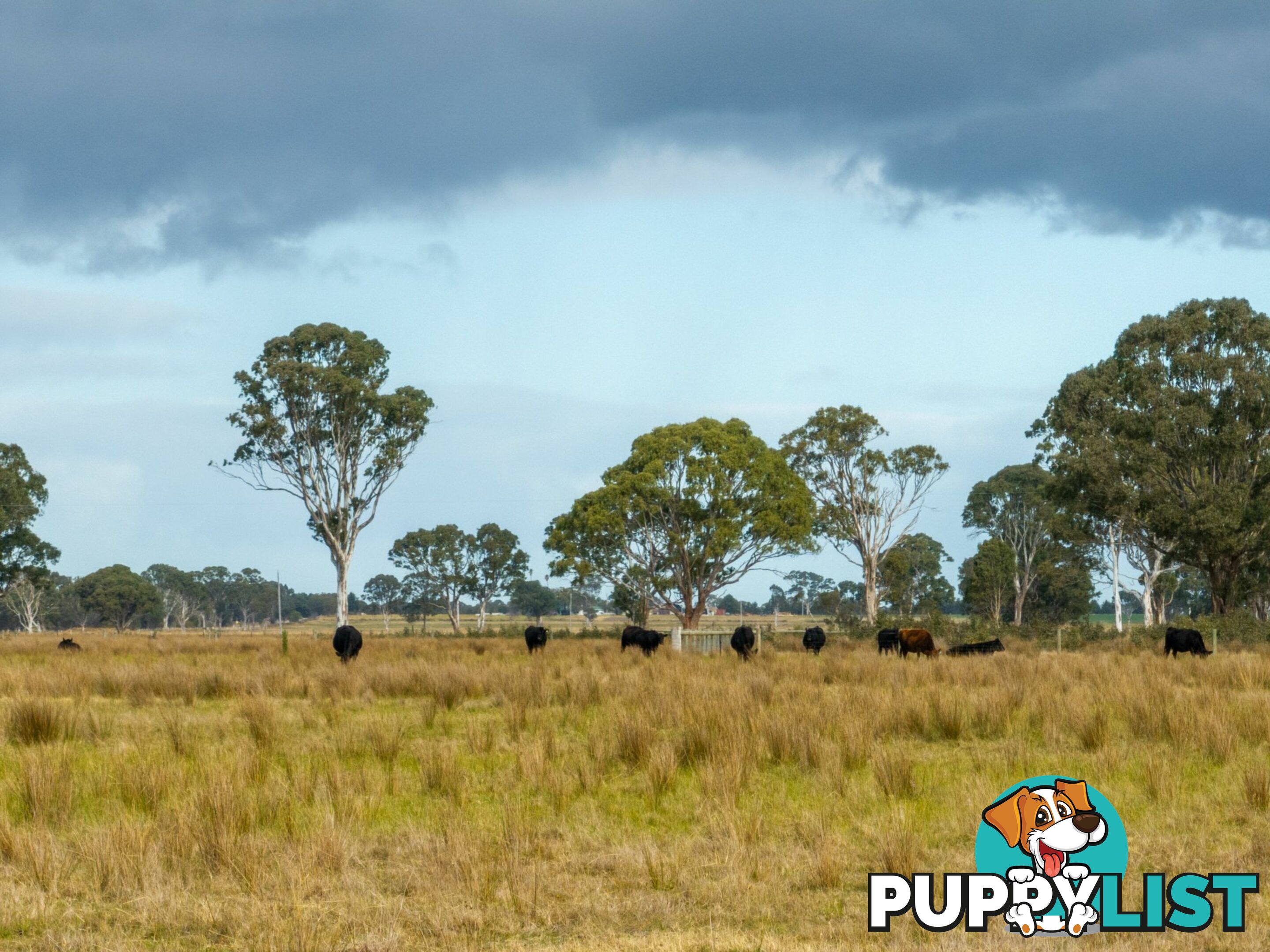 Lot 1/488 Bengworden Road BAIRNSDALE VIC 3875