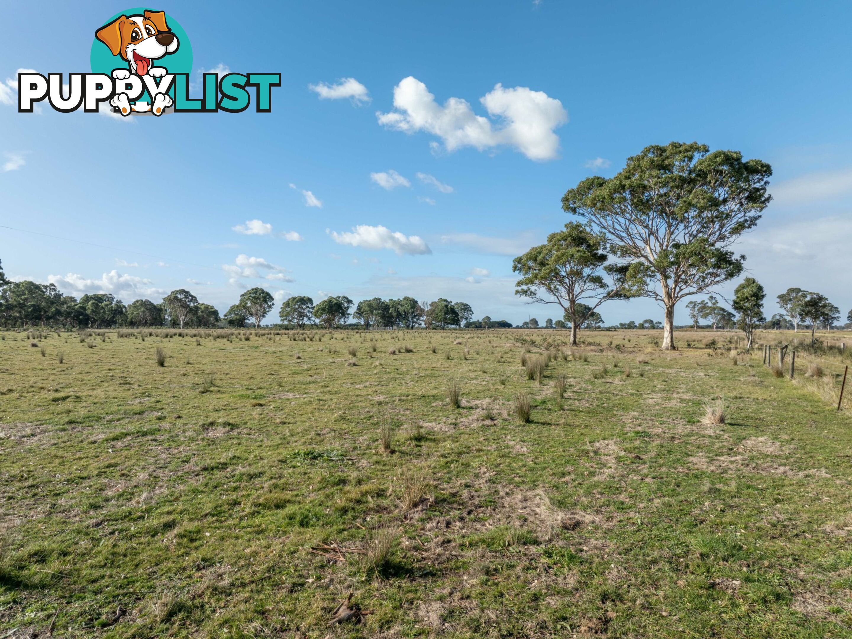 Lot 1/488 Bengworden Road BAIRNSDALE VIC 3875