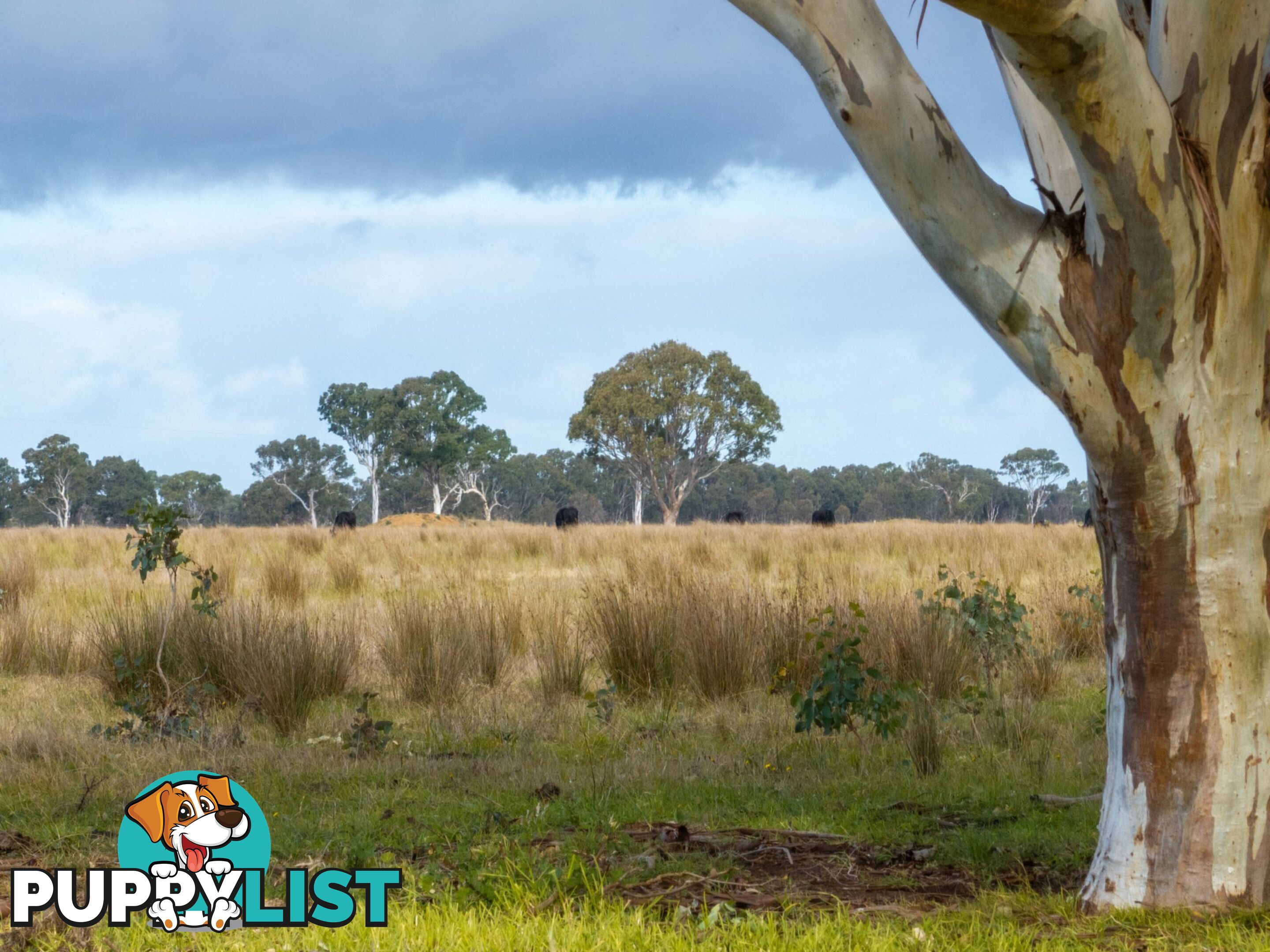 Lot 1/488 Bengworden Road BAIRNSDALE VIC 3875