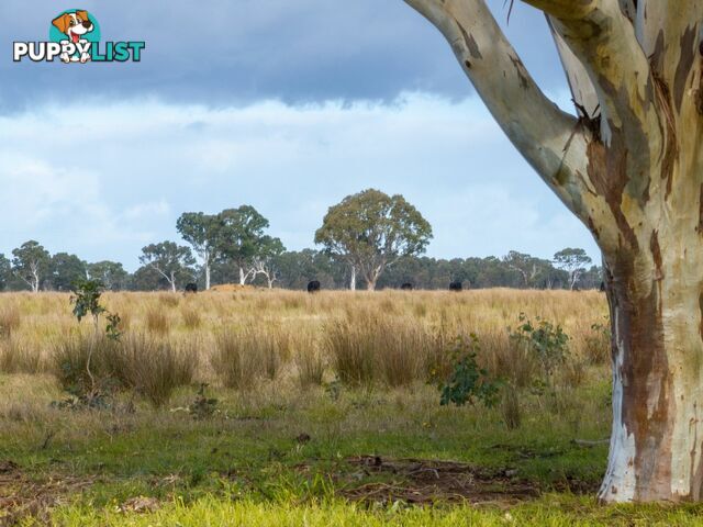 Lot 1/488 Bengworden Road BAIRNSDALE VIC 3875