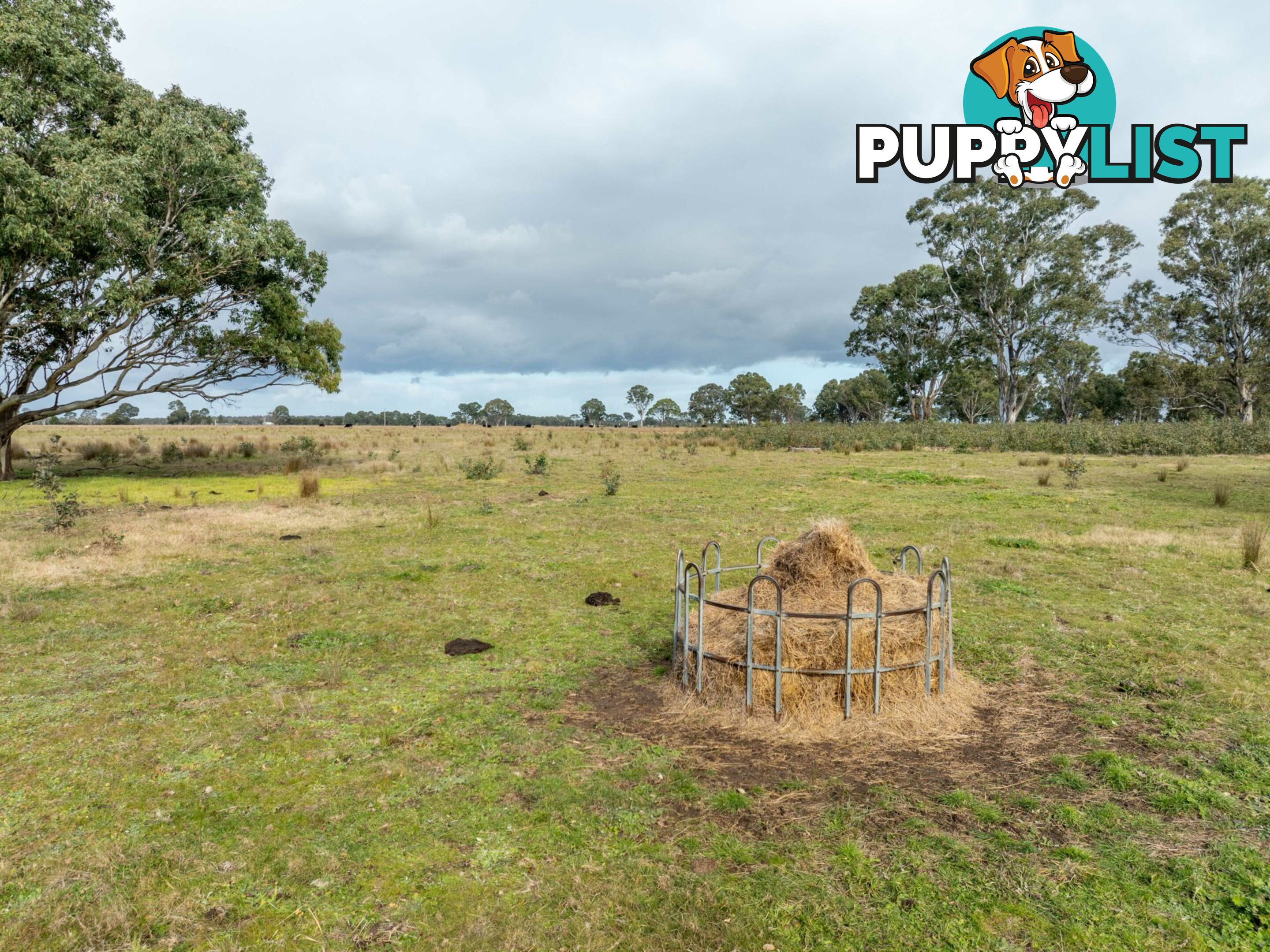 Lot 1/488 Bengworden Road BAIRNSDALE VIC 3875