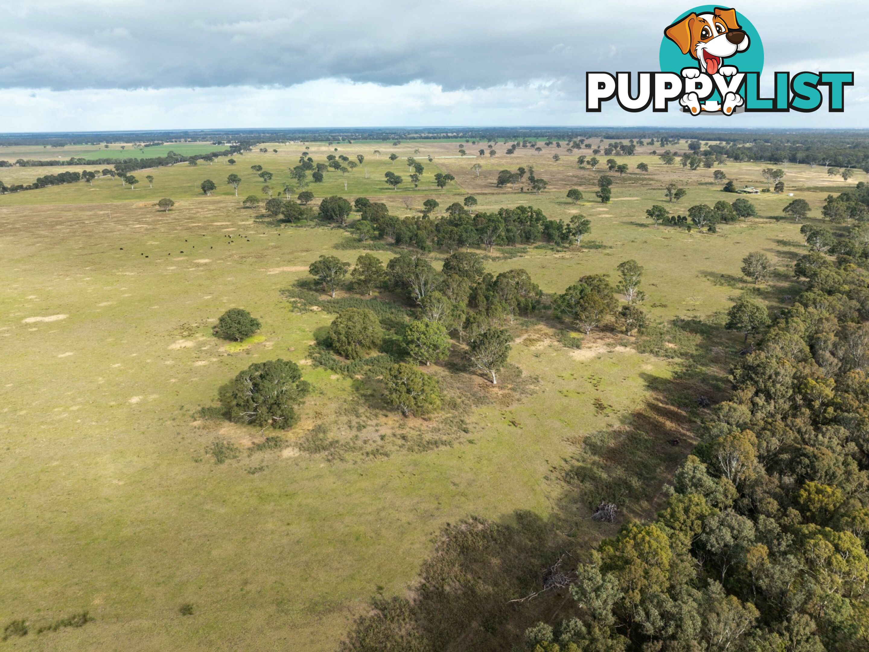 Lot 1/488 Bengworden Road BAIRNSDALE VIC 3875