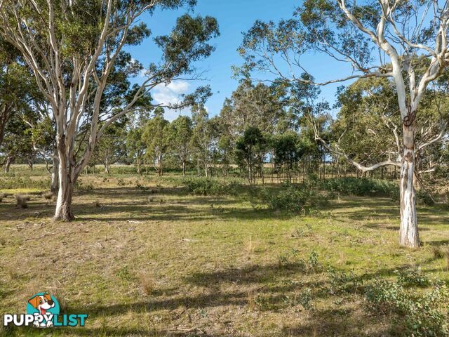 Lot 1/488 Bengworden Road BAIRNSDALE VIC 3875