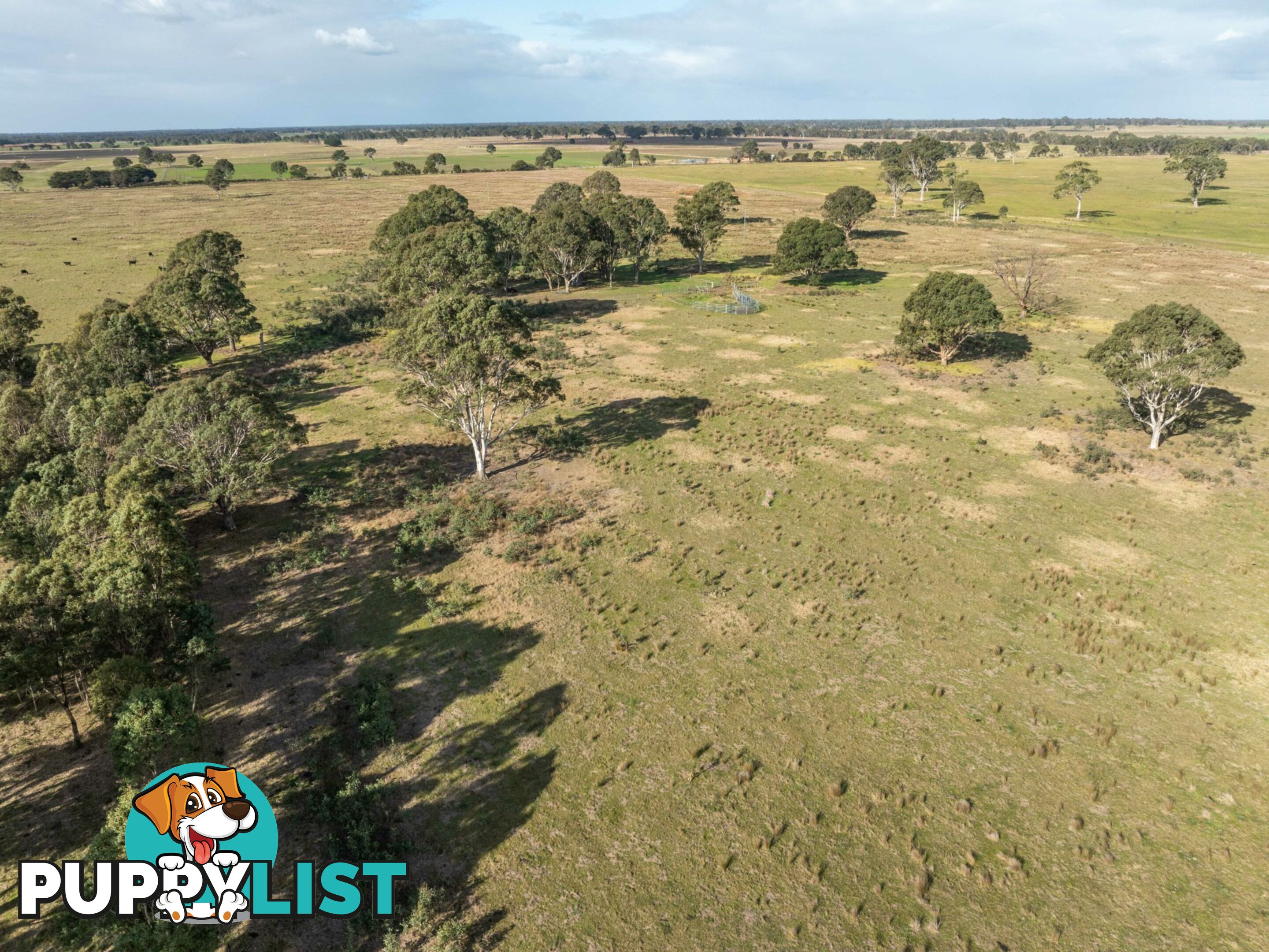 Lot 1/488 Bengworden Road BAIRNSDALE VIC 3875