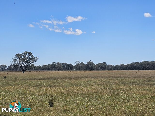 Lot 1/488 Bengworden Road BAIRNSDALE VIC 3875