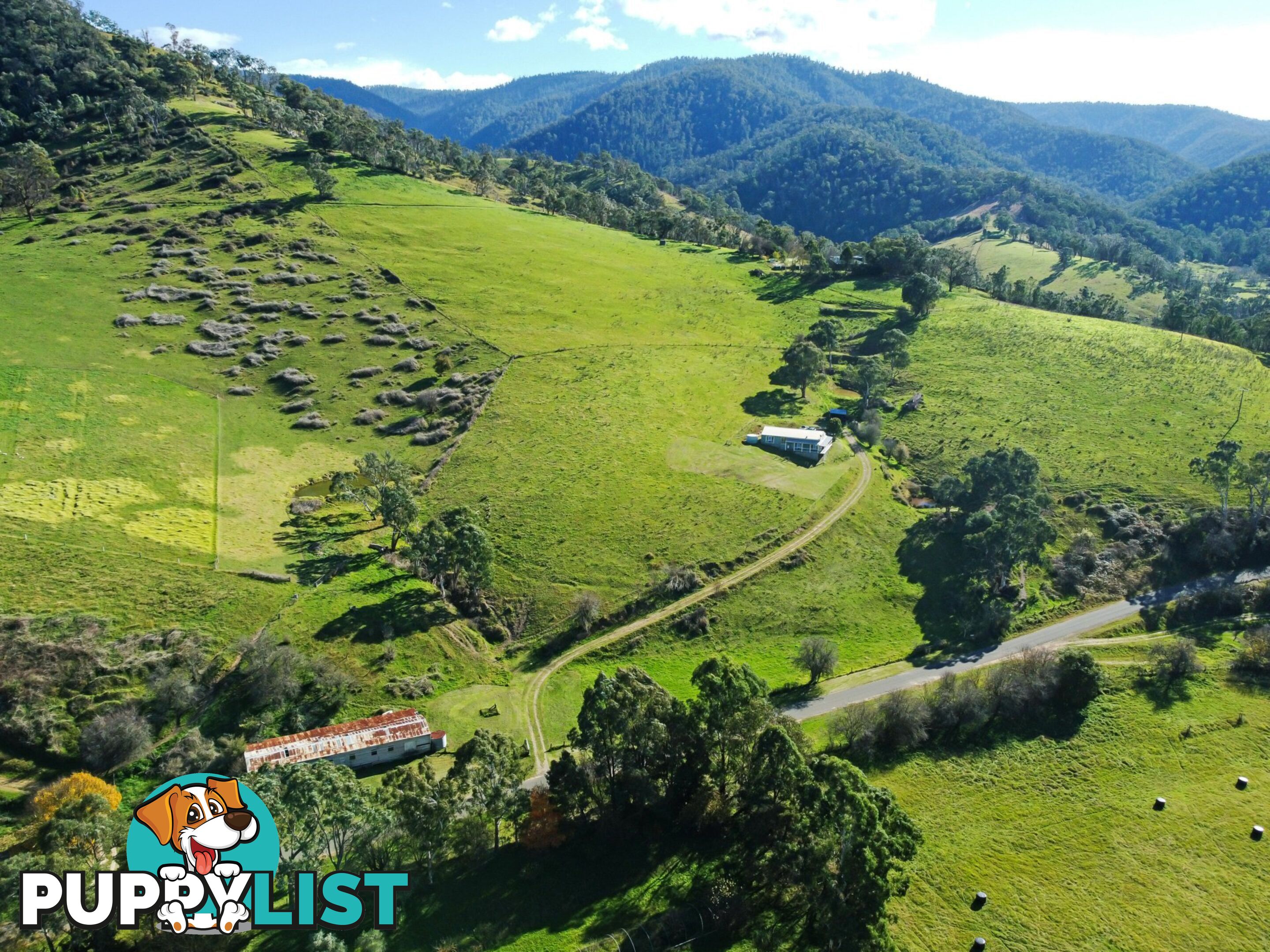 167 Dargo High Plains DARGO VIC 3862