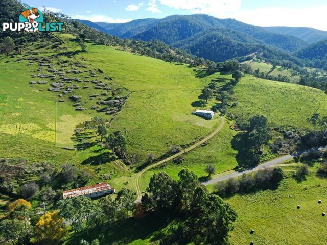 167 Dargo High Plains DARGO VIC 3862