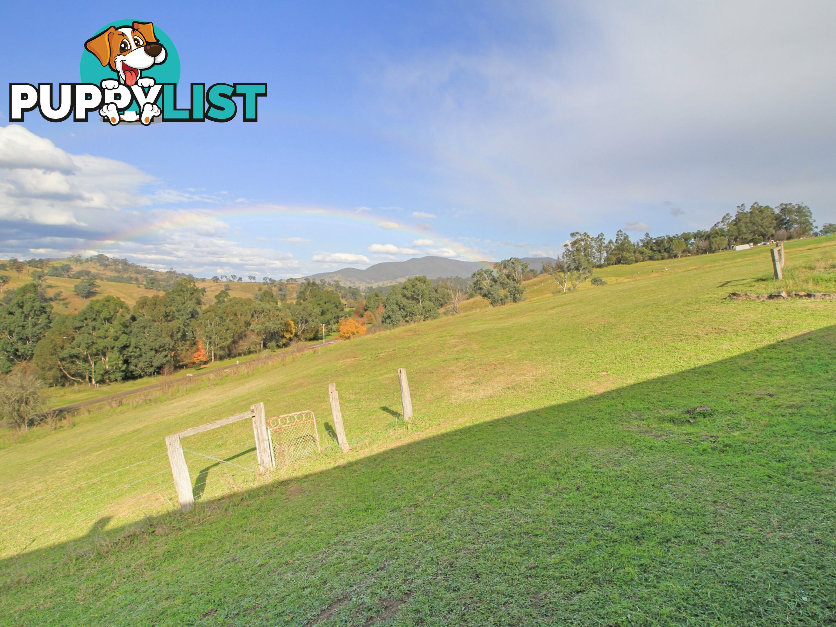 167 Dargo High Plains DARGO VIC 3862