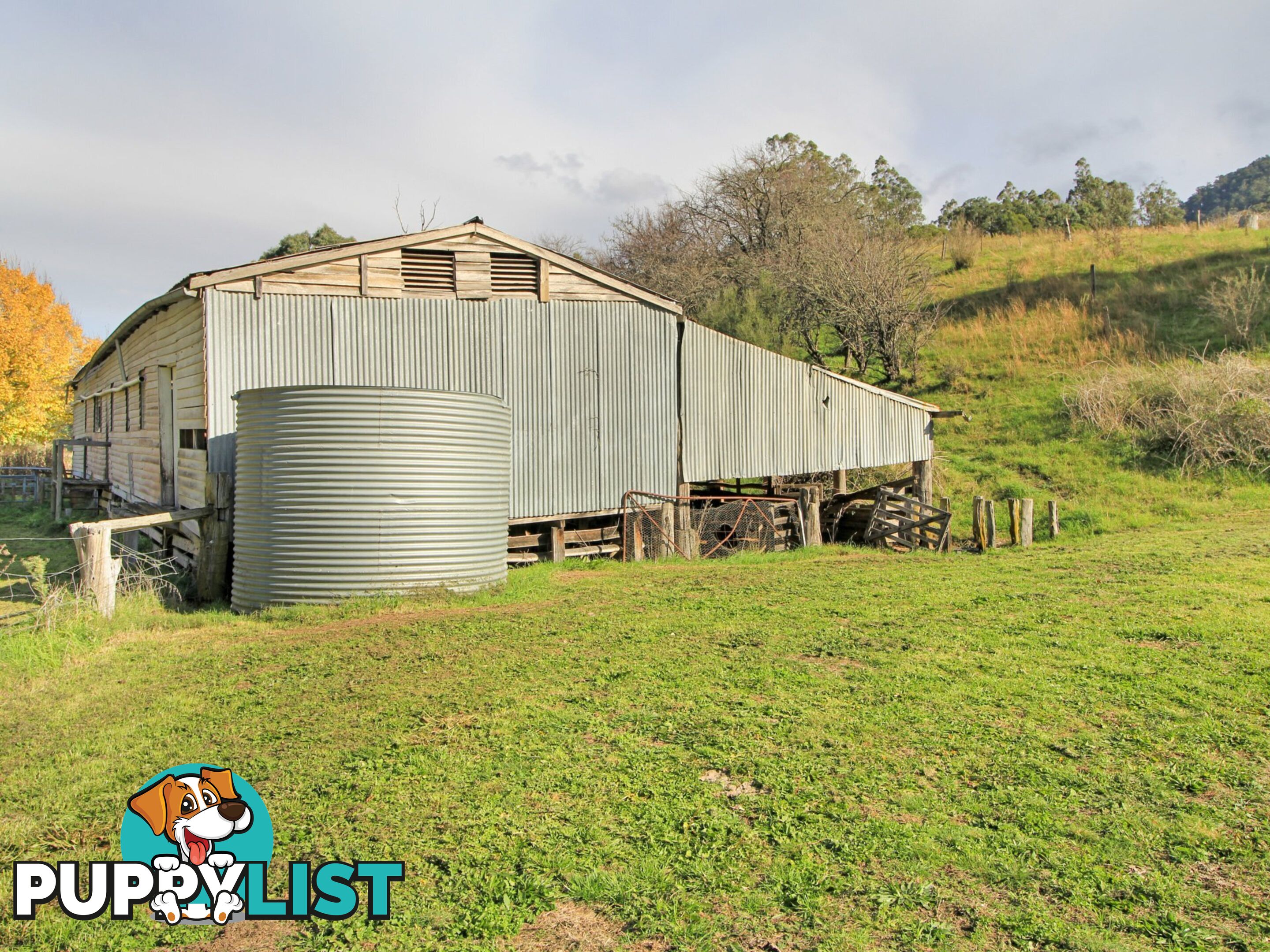 167 Dargo High Plains DARGO VIC 3862