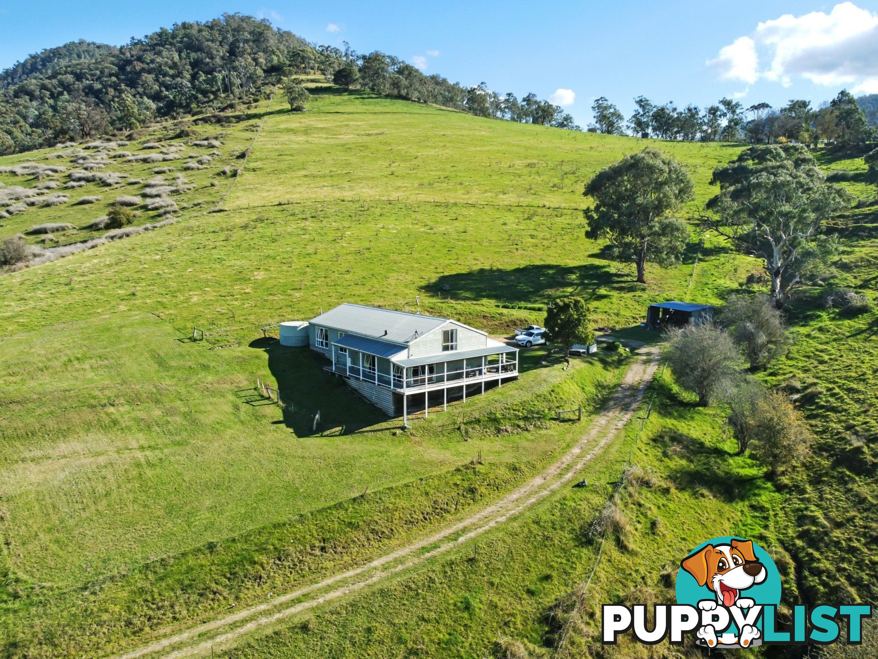 167 Dargo High Plains DARGO VIC 3862
