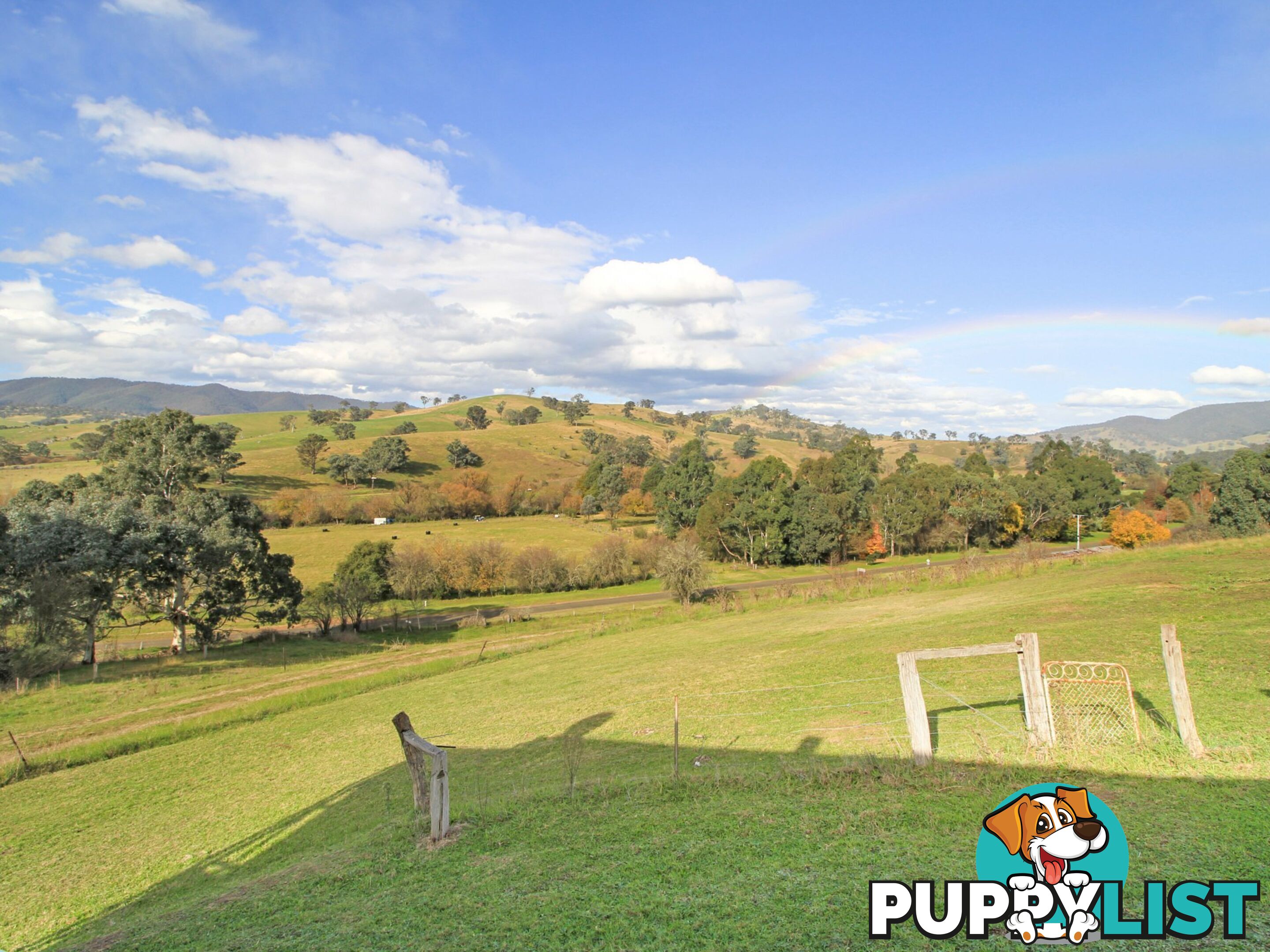 167 Dargo High Plains DARGO VIC 3862