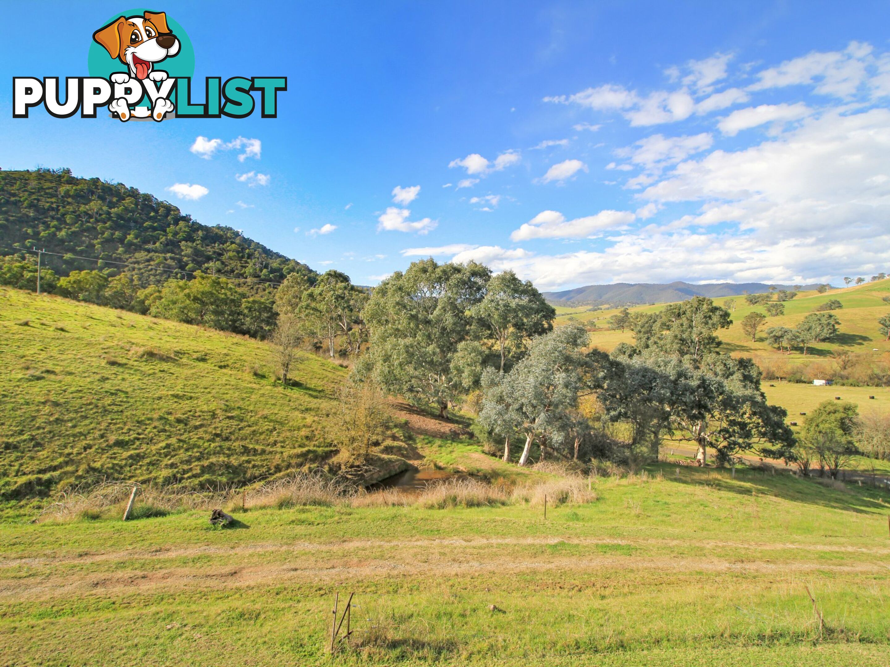 167 Dargo High Plains DARGO VIC 3862