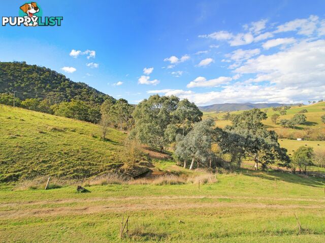 167 Dargo High Plains DARGO VIC 3862
