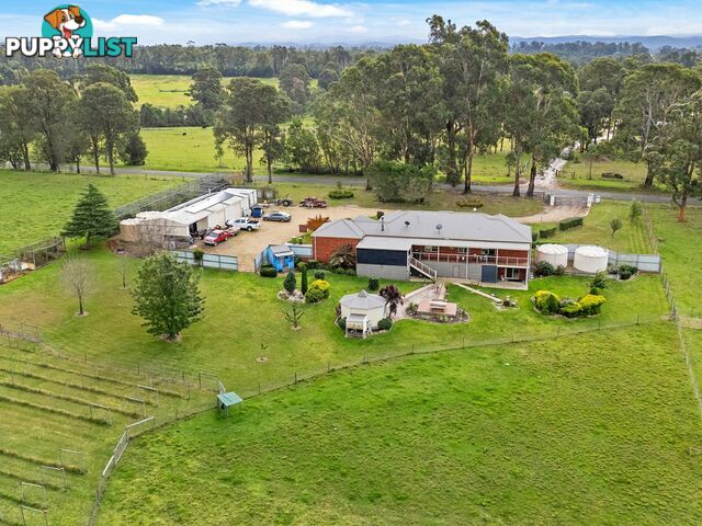 428 Duncan Road NICHOLSON VIC 3882