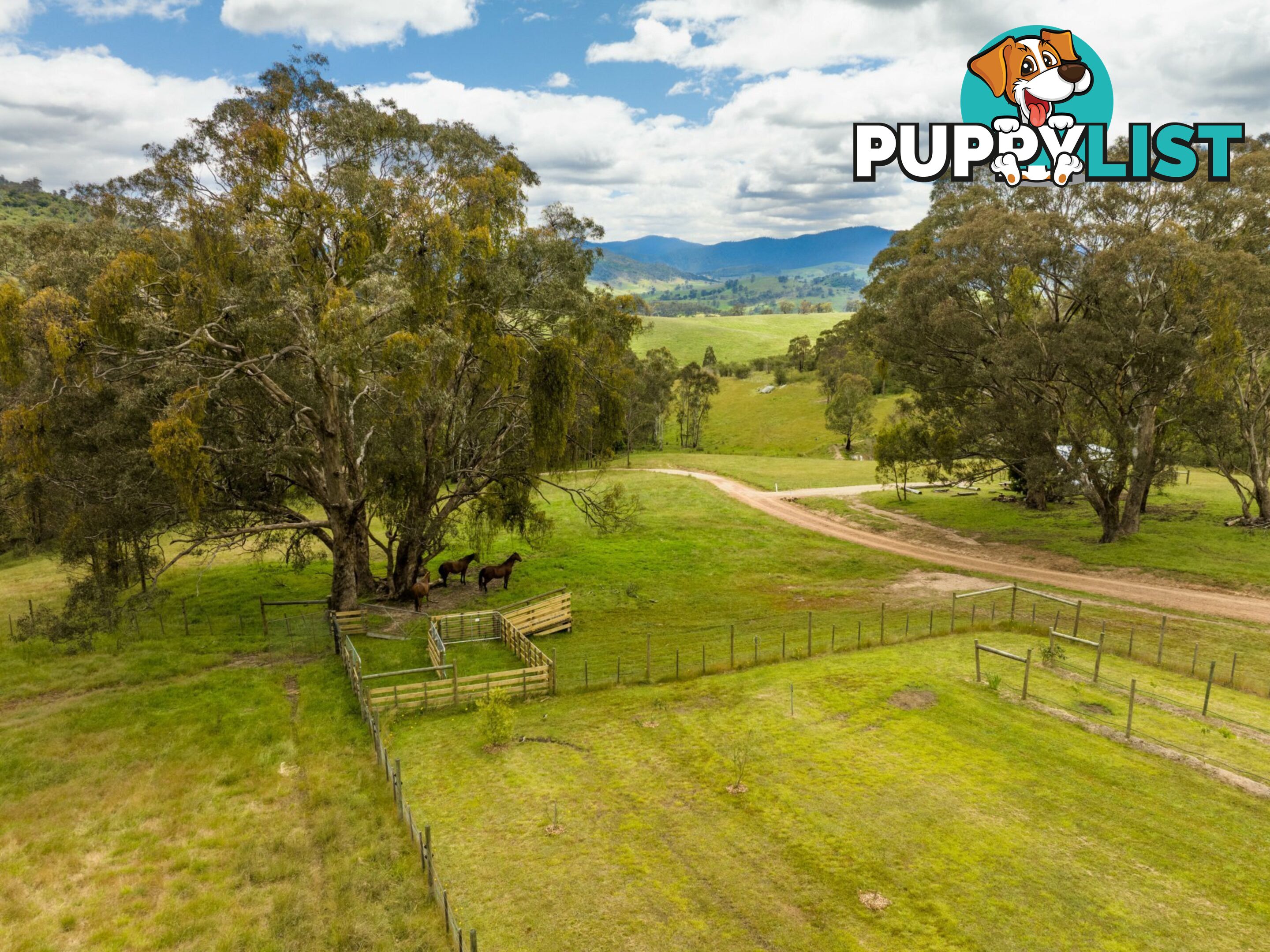 8154A Dargo Road DARGO VIC 3862