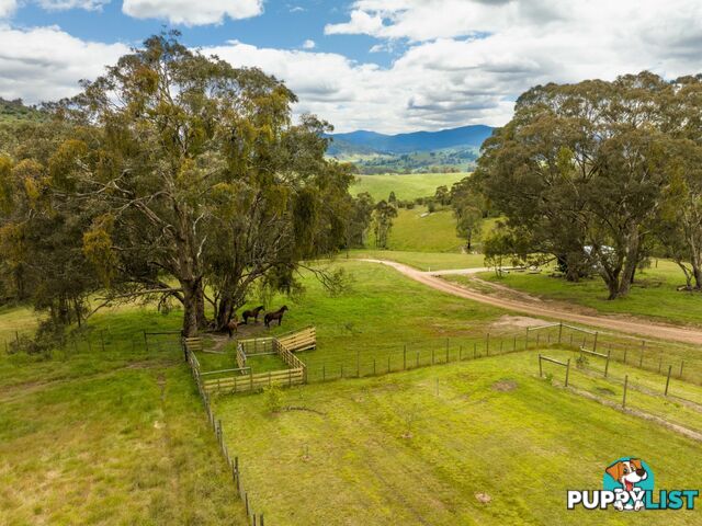 8154A Dargo Road DARGO VIC 3862