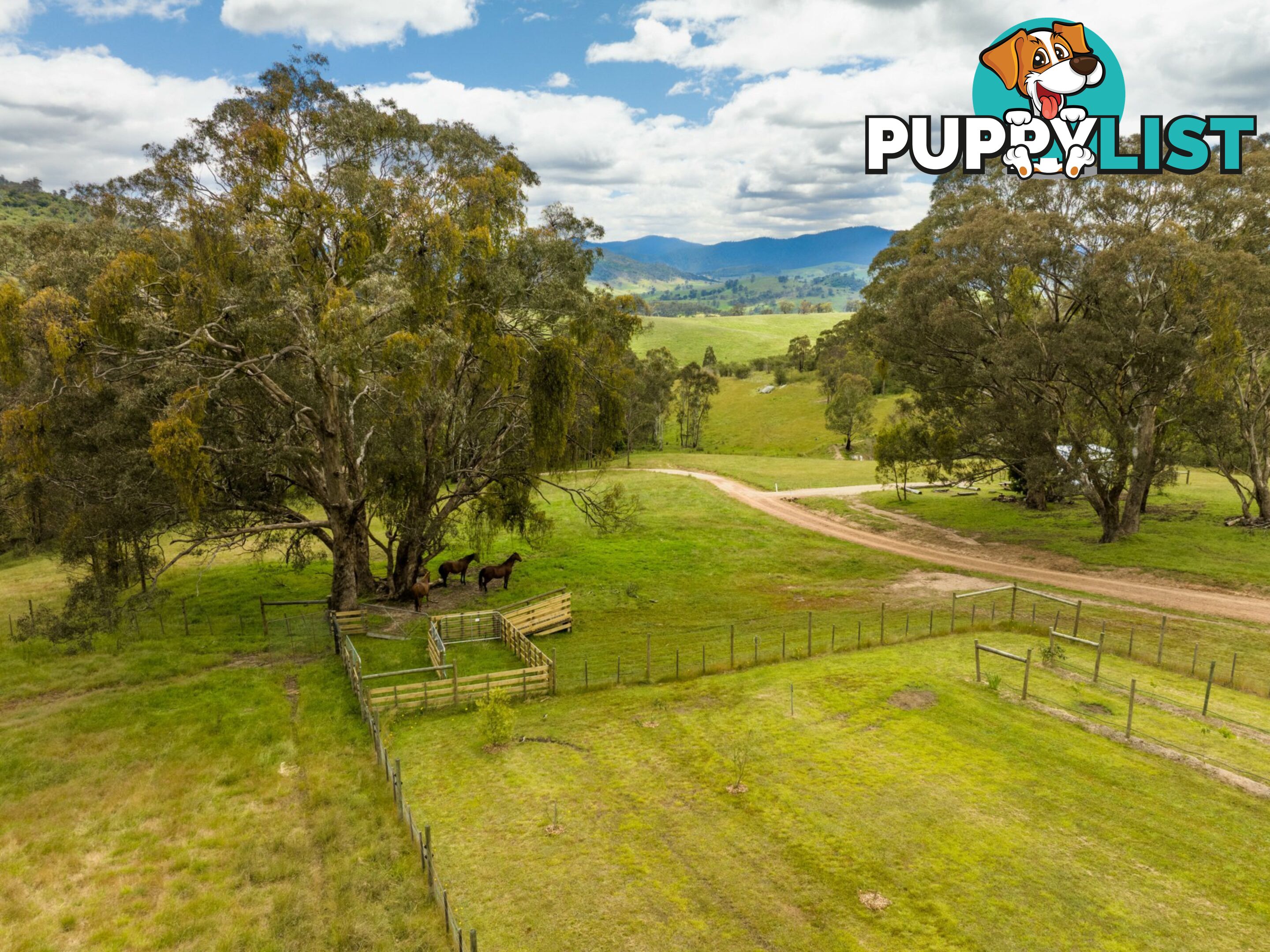 8154A Dargo Road DARGO VIC 3862