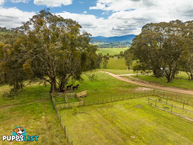 8154A Dargo Road DARGO VIC 3862