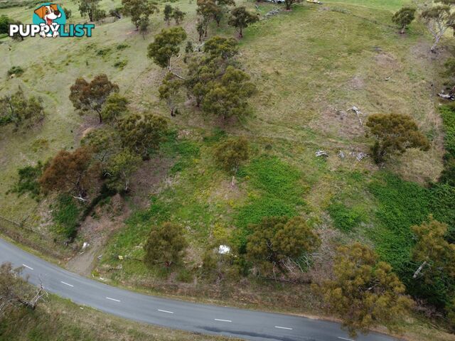 90 Old Omeo Highway OMEO VIC 3898