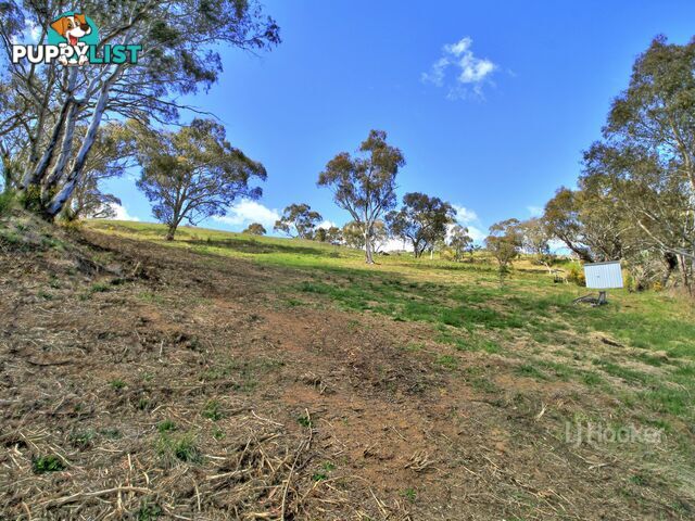 90 Old Omeo Highway OMEO VIC 3898