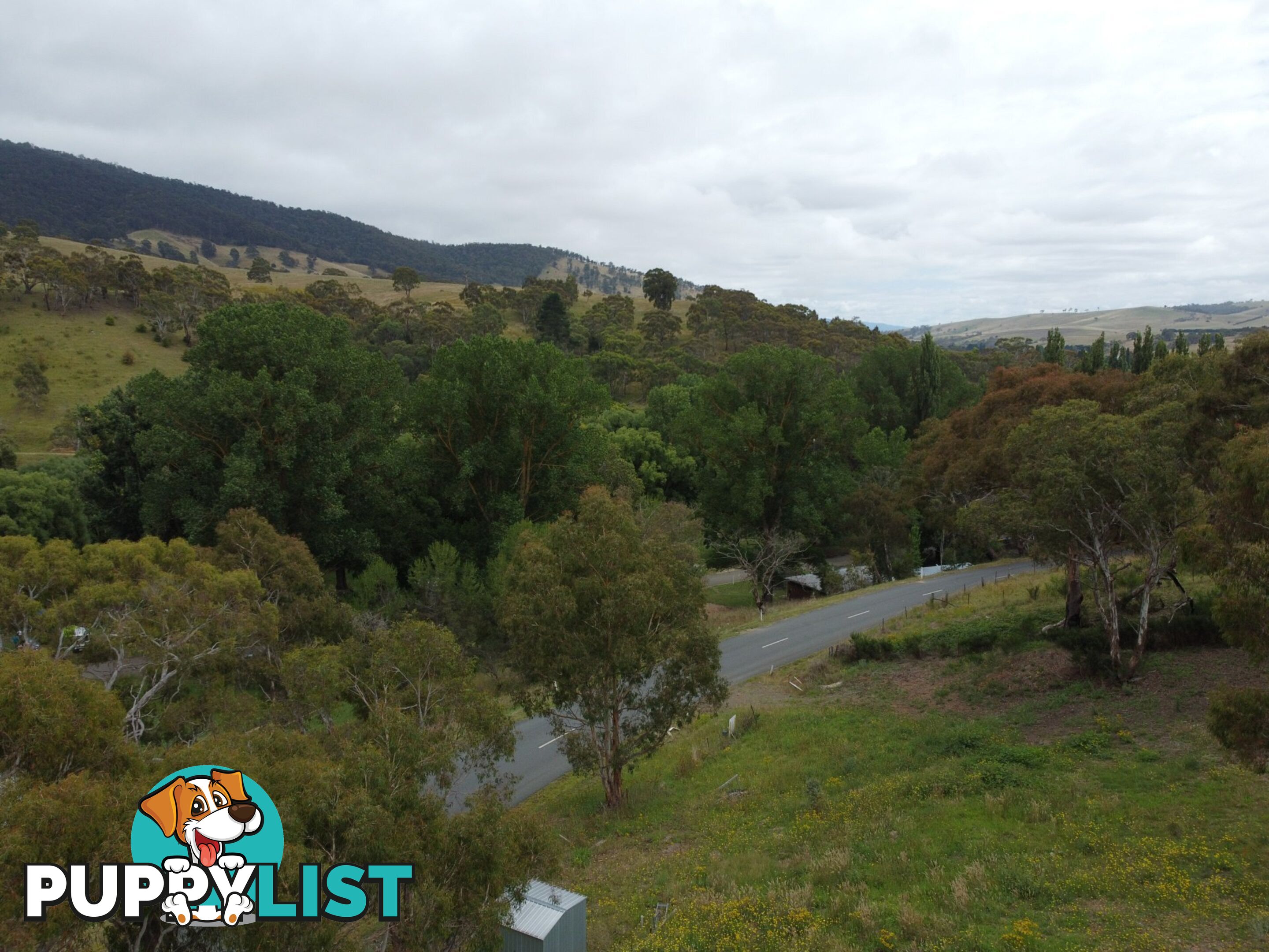 90 Old Omeo Highway OMEO VIC 3898