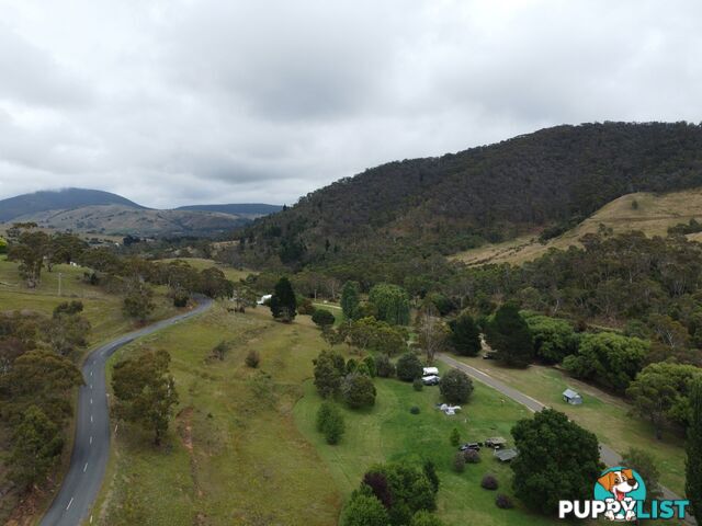 90 Old Omeo Highway OMEO VIC 3898