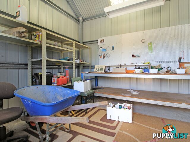 96 Drevermann Street BAIRNSDALE VIC 3875