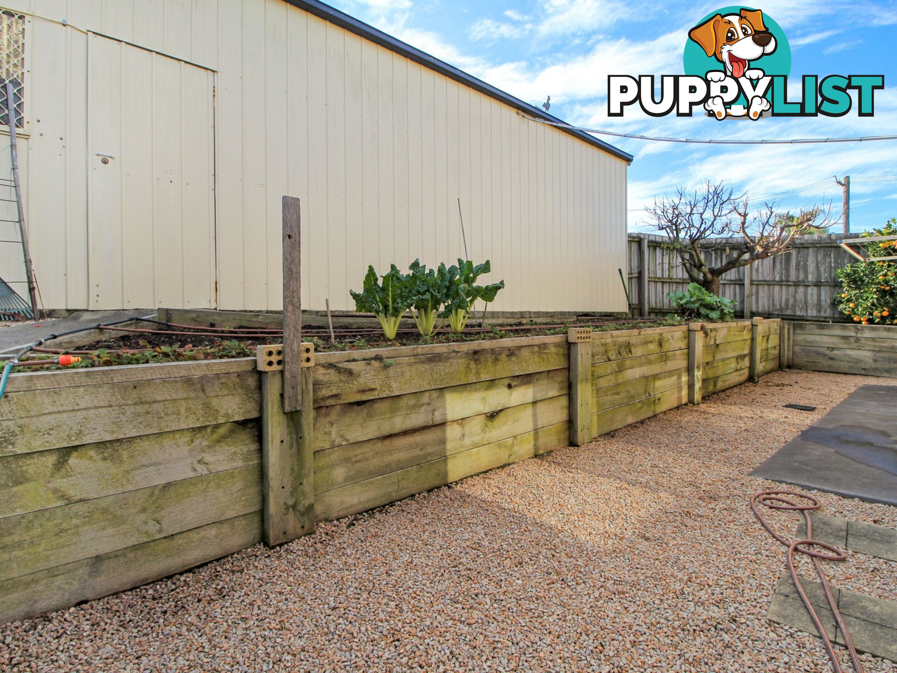 96 Drevermann Street BAIRNSDALE VIC 3875