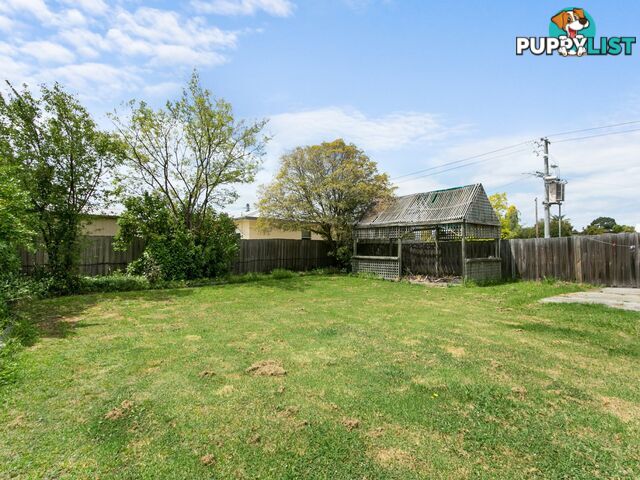 19 McKean Street BAIRNSDALE VIC 3875