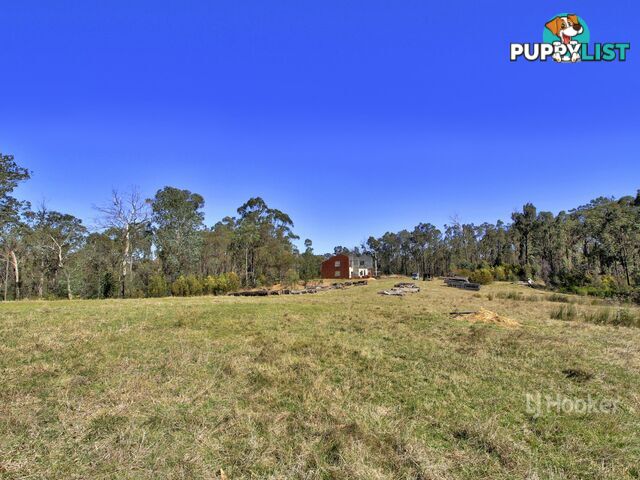 875 Waterholes Road CLIFTON CREEK VIC 3875