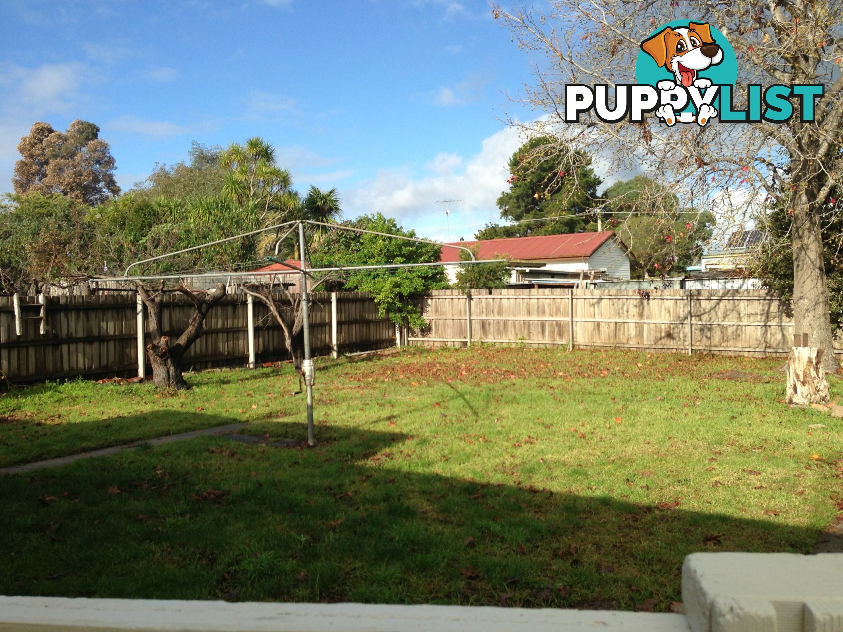 217 MacLeod Street BAIRNSDALE VIC 3875