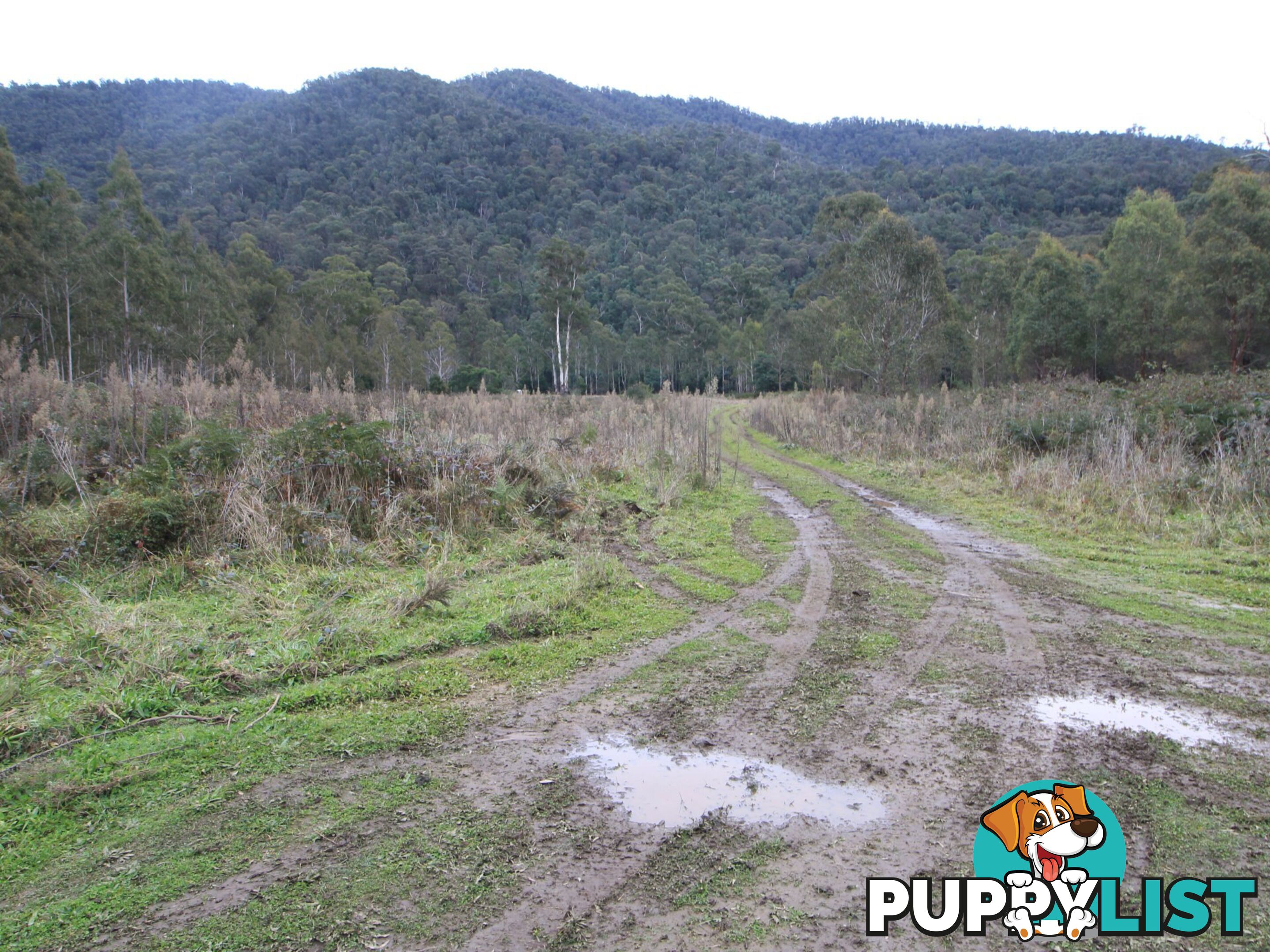 CA2 Upper Dargo Road DARGO VIC 3862