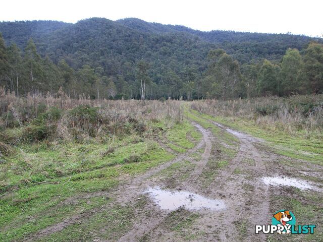 CA2 Upper Dargo Road DARGO VIC 3862