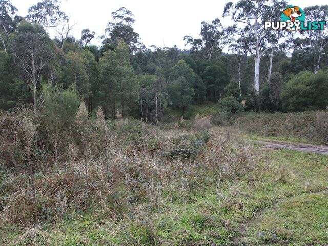 CA2 Upper Dargo Road DARGO VIC 3862