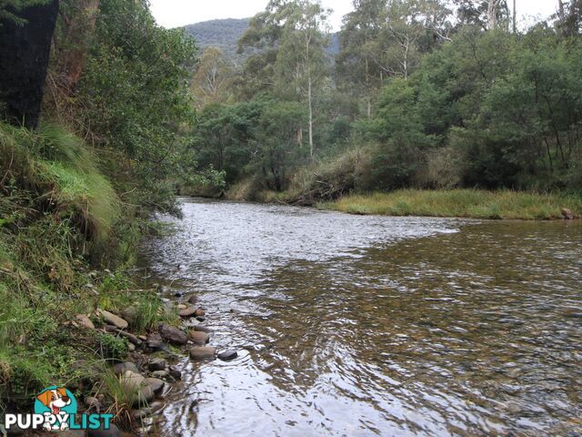 CA2 Upper Dargo Road DARGO VIC 3862