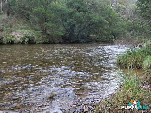 CA2 Upper Dargo Road DARGO VIC 3862