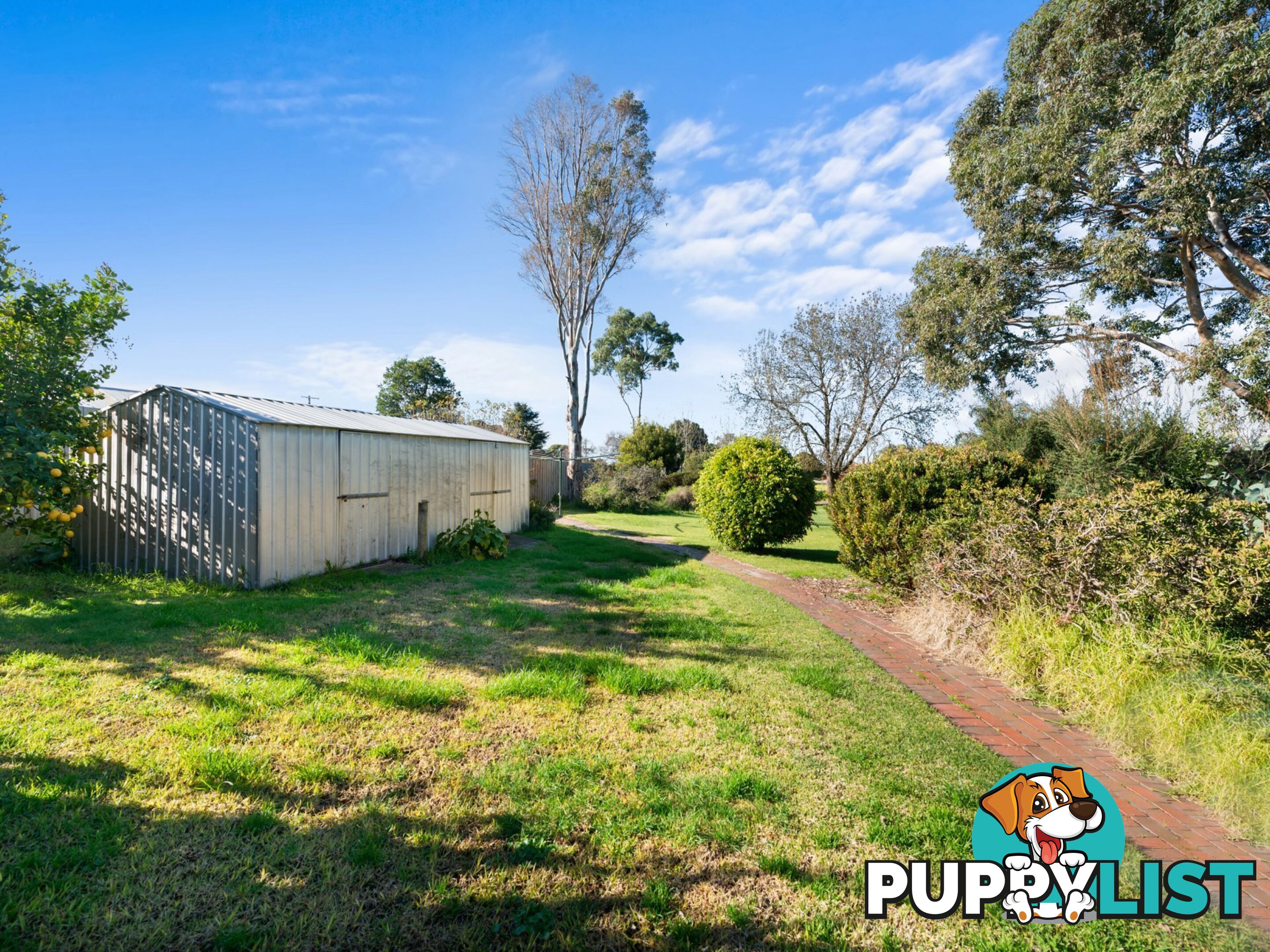 35 Robb Street EAST BAIRNSDALE VIC 3875
