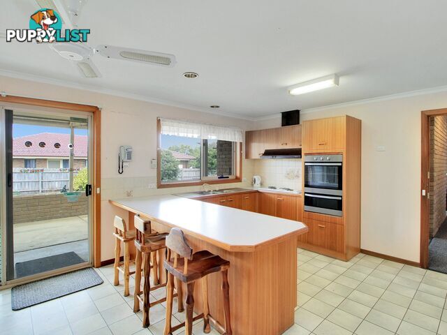 51 Balmoral Crescent EASTWOOD VIC 3875